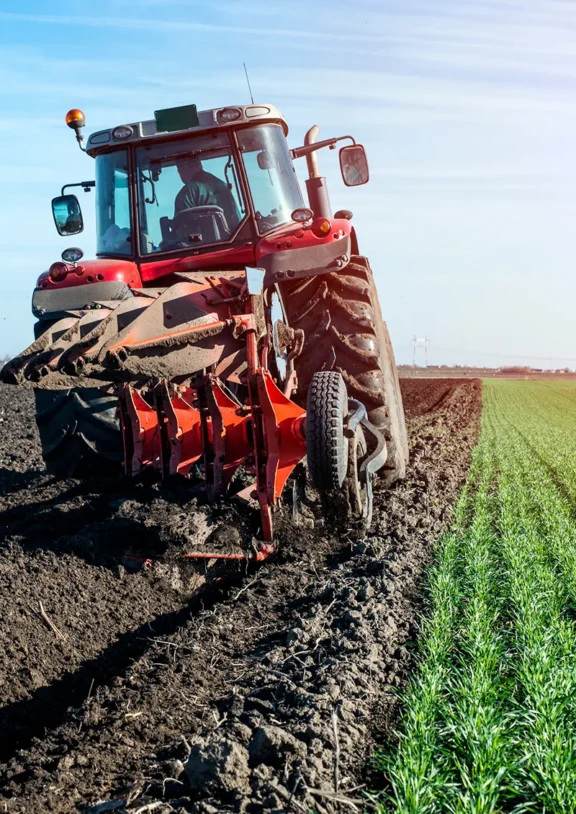 Designed for effective pest control, our insecticides help safeguard crops and support stronger, healthier agricultural yields.